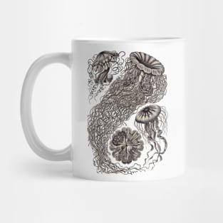 Ernst Haeckel  Jellyfish Aubergine Mug